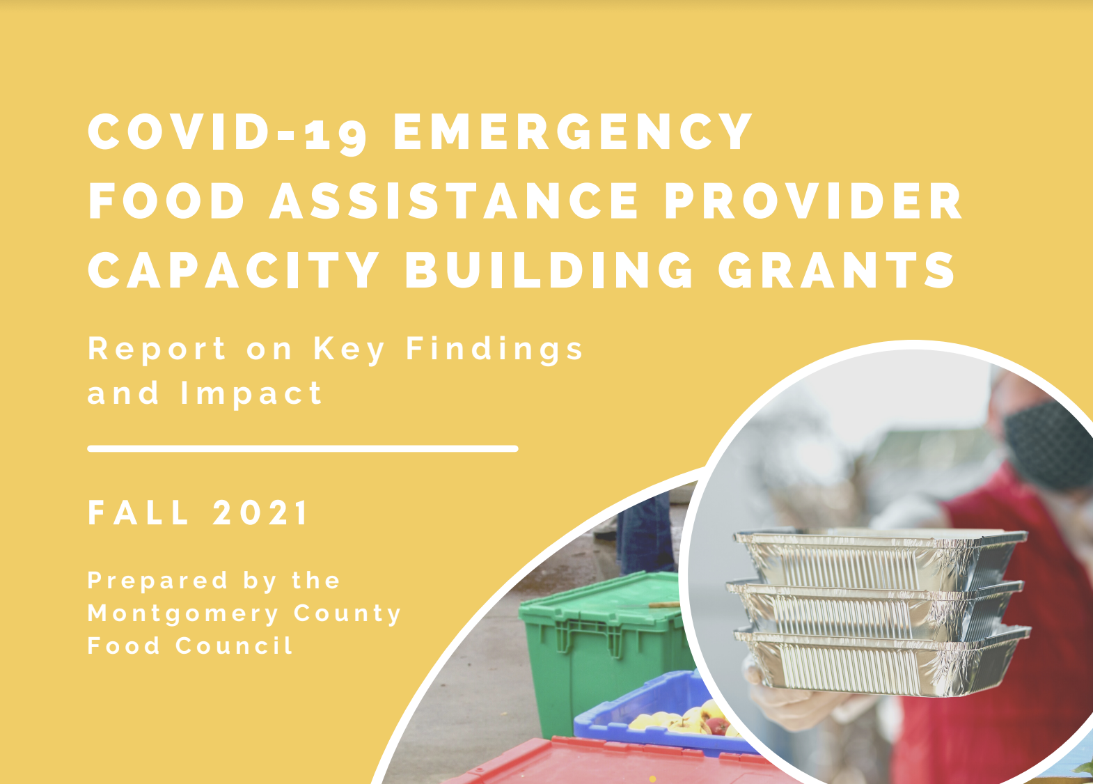 COVID-19 Emergency Food Assistance Provider Capacity Building Grants ...